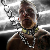 Fort Troff Tactical Collar and Leash worn by a model, full lifestyle shot