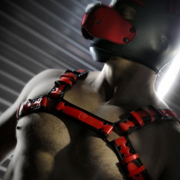 Rowdy Harness - Reaper Red >>> 30% Off